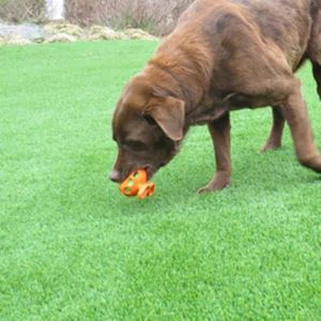 Τεχνητό γκαζόν για σκυλιά