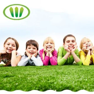 Δωρεάν Δείγμα 50 χιλιοστά Atificial Lawn και ούρα σκύλου με έκπτωση