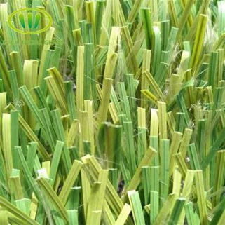 Χόρτο για τα πεδία ποδοσφαίρου