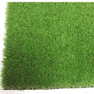 Φυσικός χλοοτάπητας