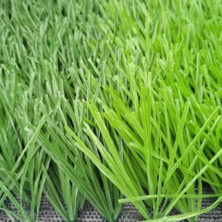 Αθλητικό χαλί χαλί