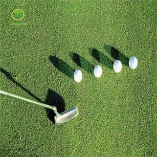 Καλές επιδόσεις Γκολφ Αθλητισμός Παίζοντας Συνθετικό Putting Green Turf Τεχνητό χαλί