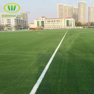 Γήπεδο ποδοσφαίρου Turf