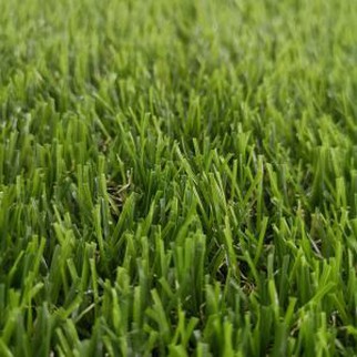 Τεχνητή αυλή